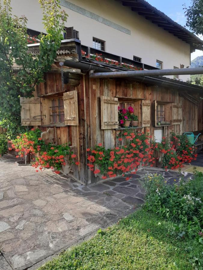 Maso Pinterato Apartment Cavalese Exterior photo