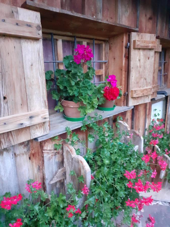 Maso Pinterato Apartment Cavalese Exterior photo