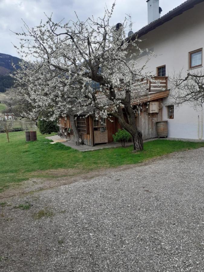 Maso Pinterato Apartment Cavalese Exterior photo