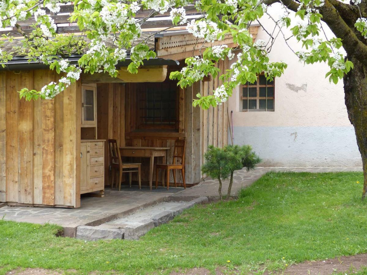 Maso Pinterato Apartment Cavalese Exterior photo